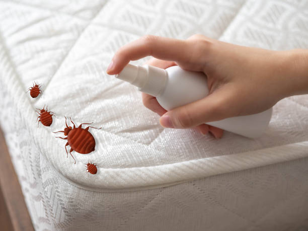 Best Residential Pest Control  in Roslyn Estates, NY